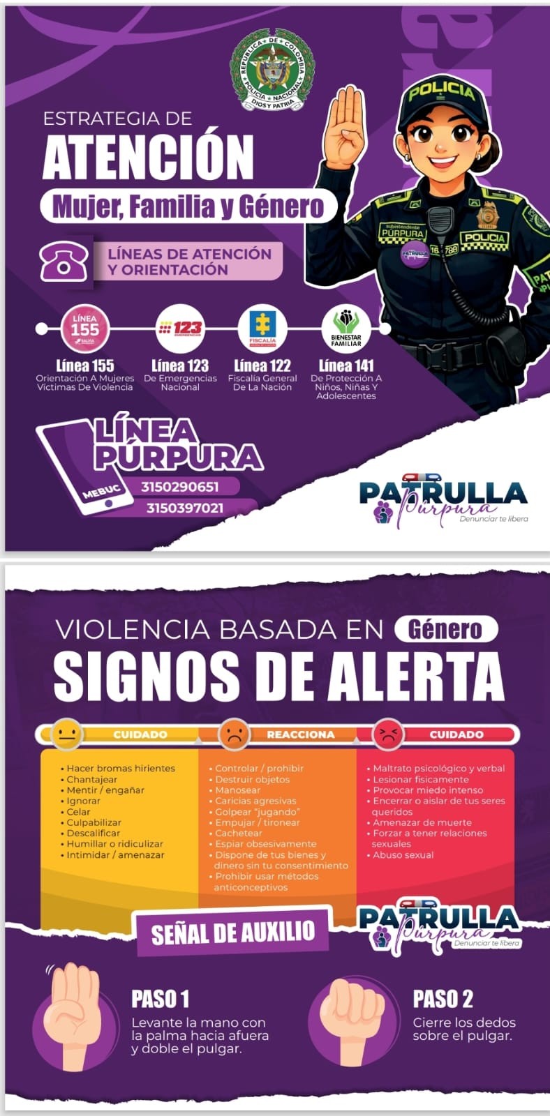 Infografía — Estrategia de Atención Mujer, Familia y Género